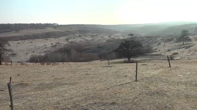 Bani europeni pentru împăduriri, nefolosiți de primari. Mai mult de jumătate din fonduri nu au fost accesate