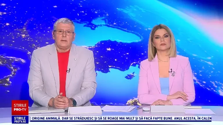 Primăria din Arad vrea să atraga rațele salbatice pe lacul din centrul orașului cu ajutorul unei insulițe artificiale