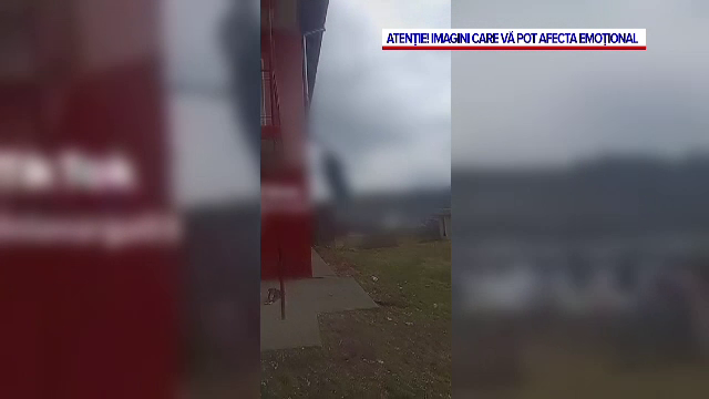 Incident revoltător în Mureş. Un tânăr a fost filmat aruncând un câine de la etaj. Declarațiile vecinilor