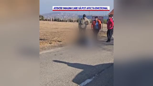 O bătrână din Maramureș a fost sfâșiată de un câine care a atacat-o în timp ce se plimba cu animalul ei de companie