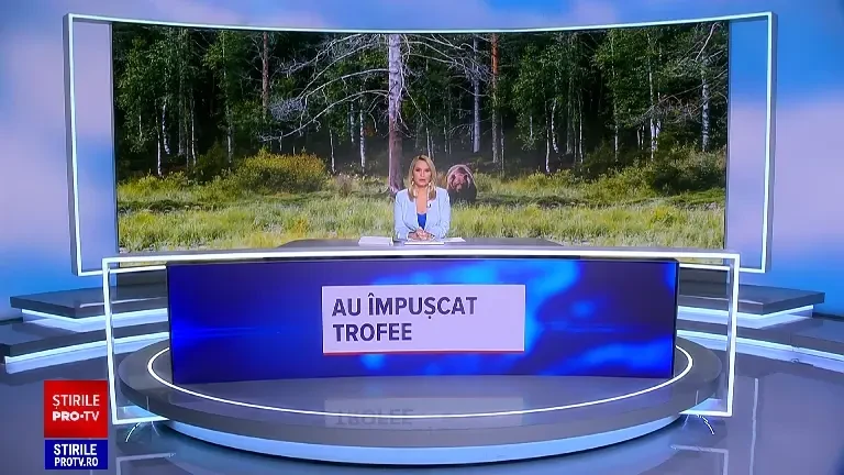 Vânătorii profită de legea împușcării urșilor. Jumătate din animalele ucise ar putea câștiga medalii de aur la expoziții