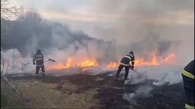 Bilanțul incendiilor de vegetație din ultimele zile. Focul a fost pus intenționat pentru curățarea terenurilor