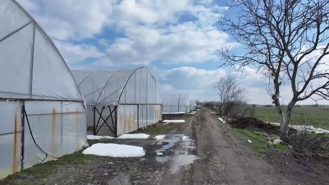 Oficialii din agricultură vor să-i convingă pe fermieri să-și deschidă PFA sau SRL. Care sunt beneficiile