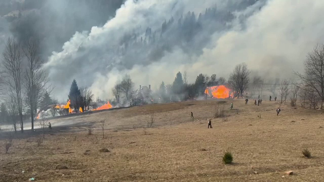 Incendii masive de vegetație în 13 județe. Sunt deja 4 victime. Autoritățile se tem că situația se agravează