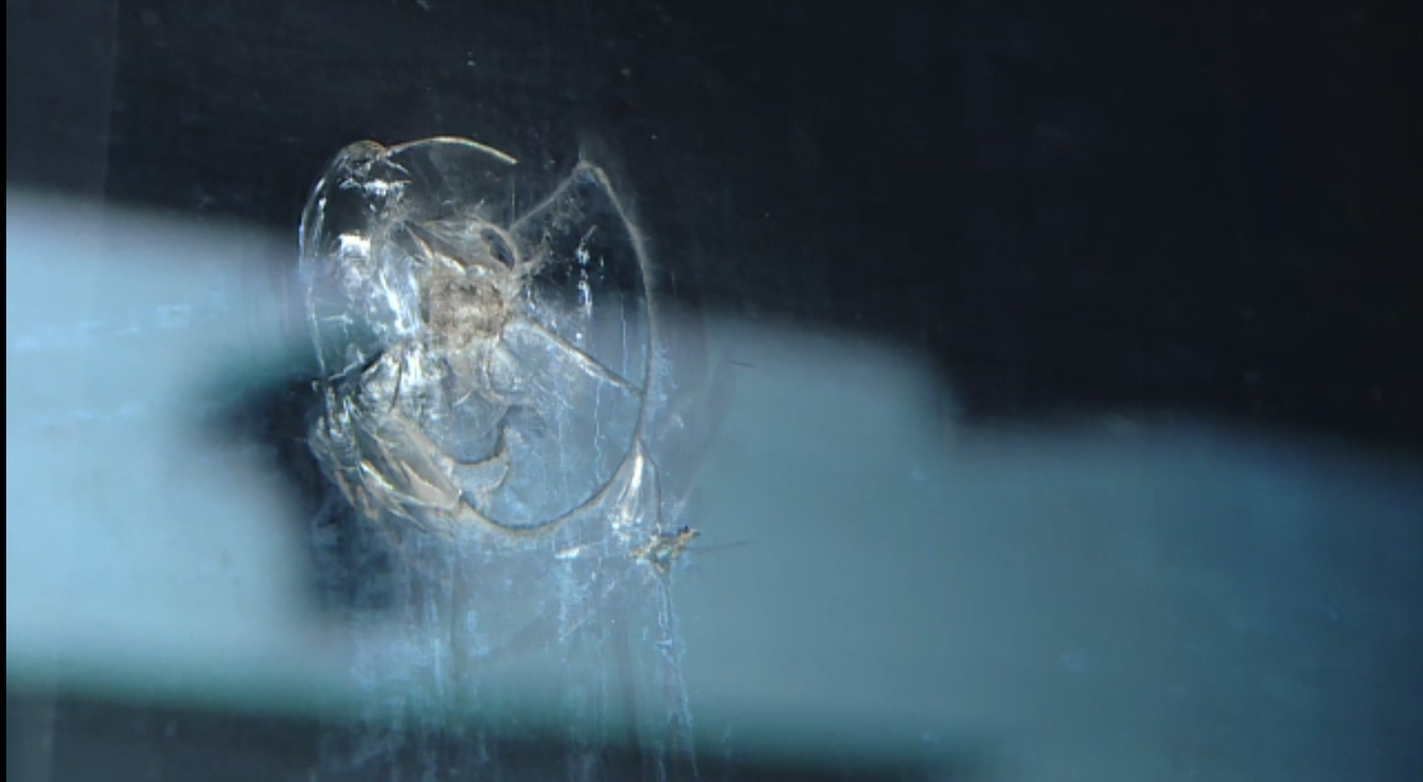 S-a deschis un dosar penal după ce singurul tren electric cumpărat în ultimii 20 de ani a fost atacat cu pietre