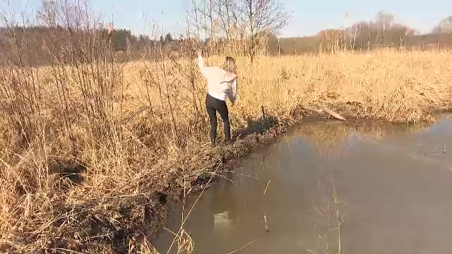 Opt castori din Cehia au făcut treaba autorităților. Dig construit exact pe locul unde oamenii plănuiseră o barieră