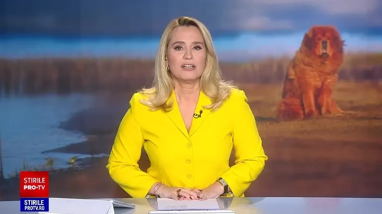 Viking, primul câine din istoria României și primul din rasa lui care câștigă un titlu mondial. ”Este foarte protectiv”