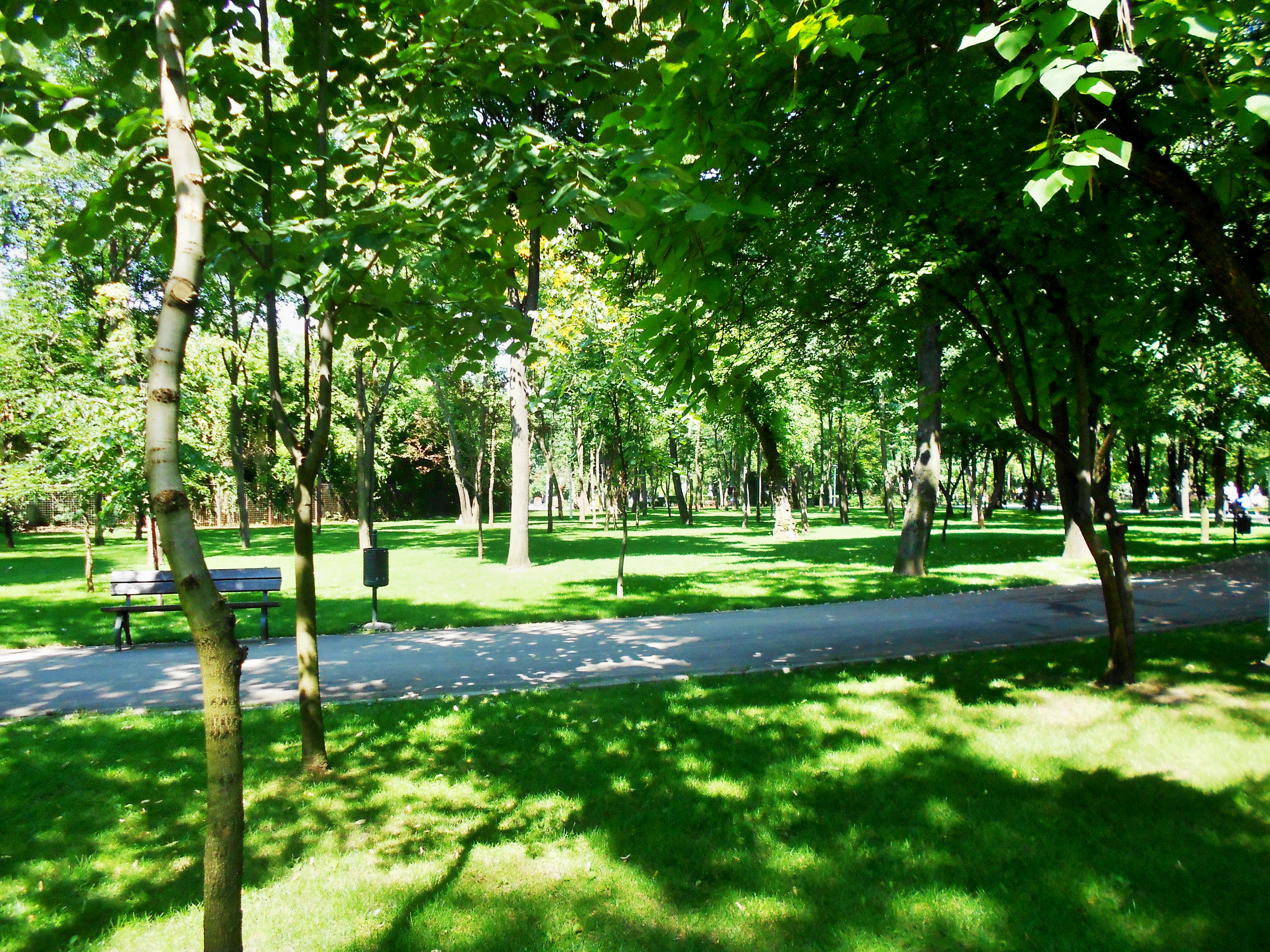 Parcul Bazilescu - istoria Teatrului de Vară din centrul lui și ce poți face aici