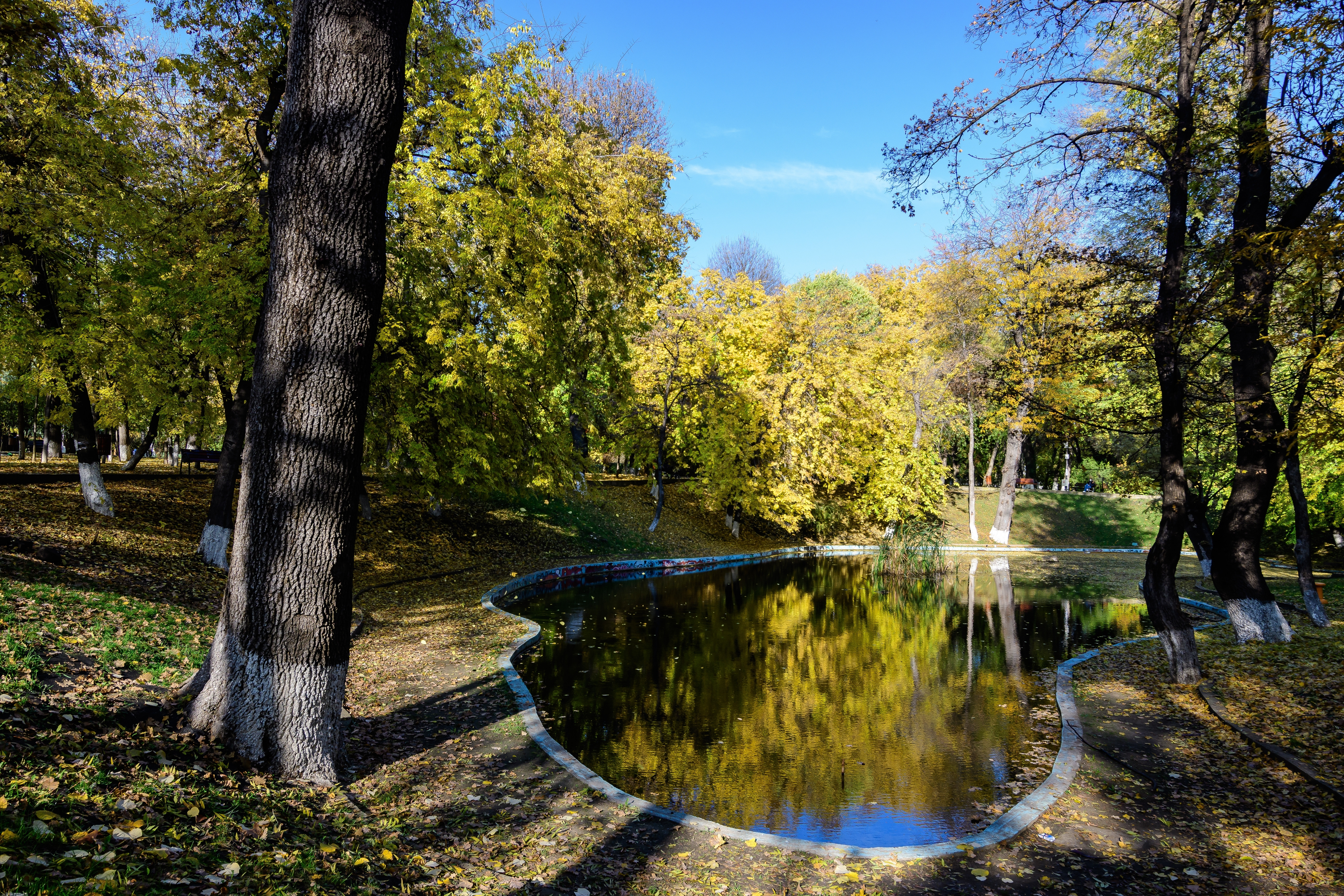 Zeci de ONG-uri protestează față de închiderea Parcului Kiseleff pentru evenimente private cu acces plătit
