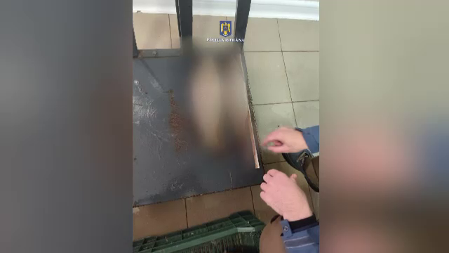 Flagrant în Delta Dunării. Braconierii au fost prinși cu o jumătate de tonă de pește pescuit ilegal. Ce pedeapsă riscă