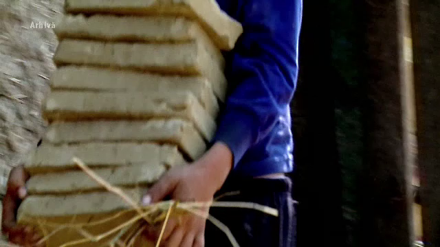 Caz șocant în Prahova. Doi frați gemeni au fost exploatați la muncă forțată de propriul frate