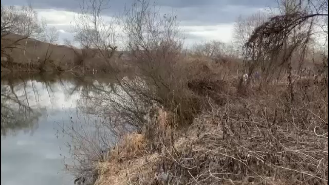 Un copil de doi ani și jumătate a căzut în Mureș. Oamenii l-au găsit agățat de crengi, dar a murit la spital