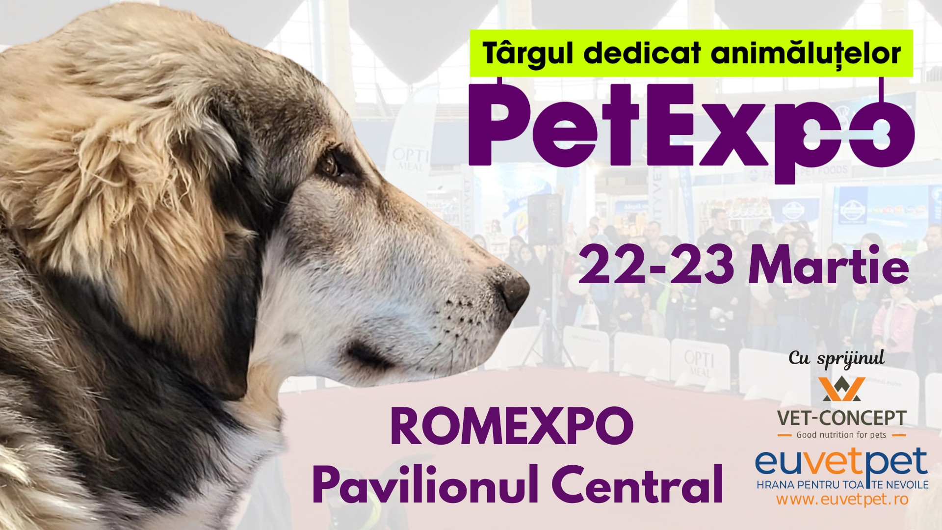 (P) Rasele românești de câini, vedetele PetExpo 2025, la ROMEXPO