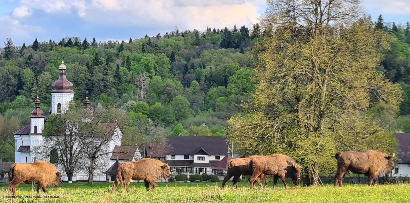 Sate de poveste Destinatia Anului 2025