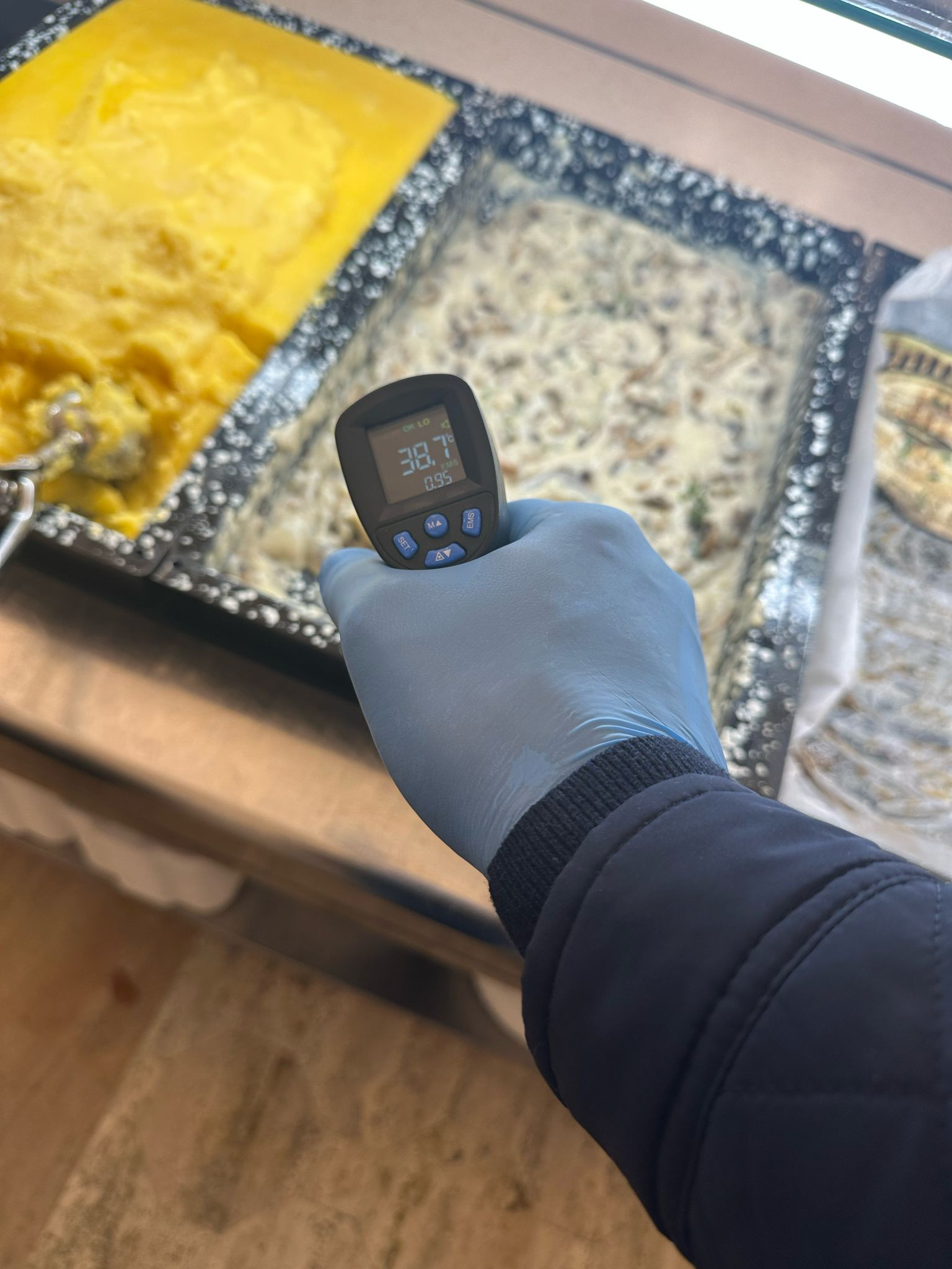 ANPC a dispus închiderea cantinei de la Parlament. Aleșii României mâncau printre gândaci | FOTO