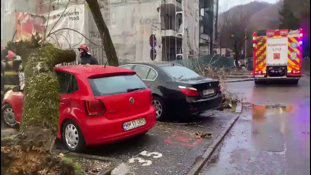 Ploile torențiale și vântul puternic au făcut prăpăd în țară. Mai multe mașini au fost avariate. „S-a rupt în două, practic”