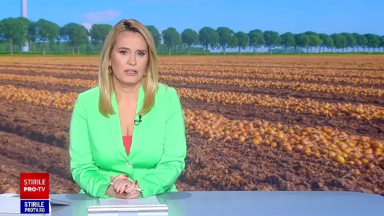 Ceapa românească, nelipsită din orice mâncare gătită, devine o raritate în piețe