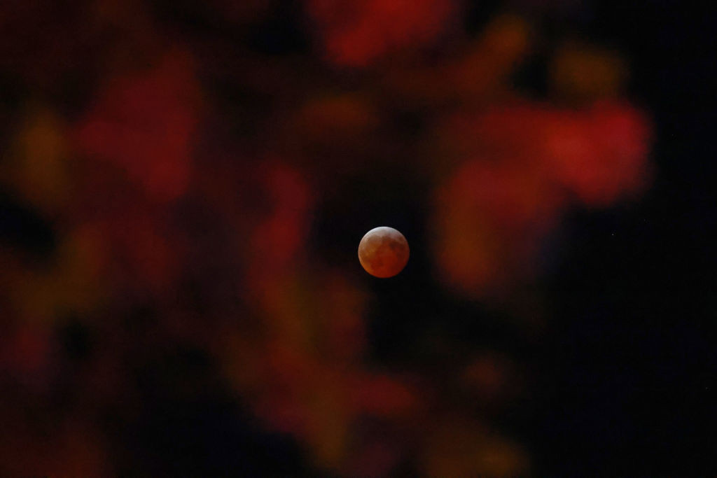 eclipsa de luna 14 martie 2025