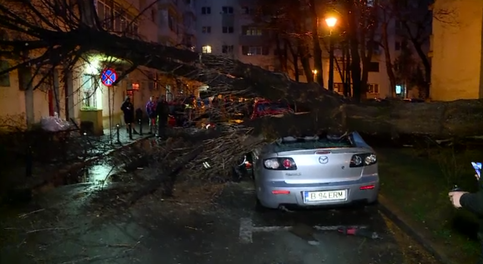 Vijelia a făcut prăpăd în București. O femeie a ajuns la spital lovită de o creangă. 61 de copaci au fost doborâți