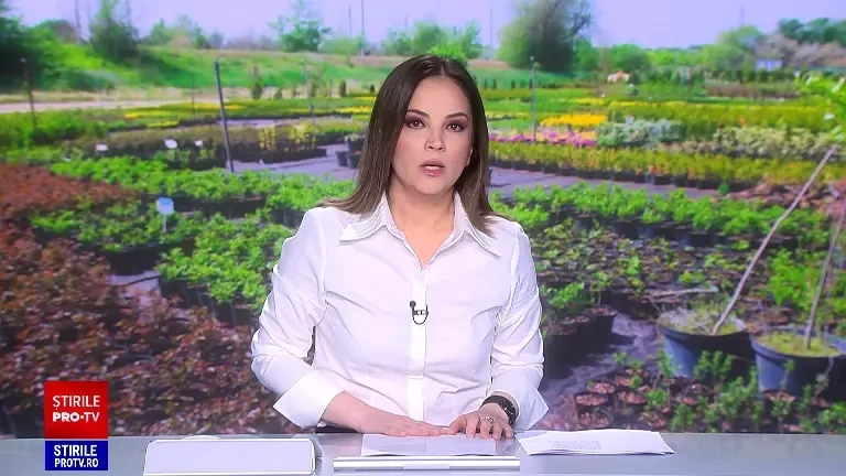 Trei tineri din Galați, dintre care unul de numai 17 ani, arestați preventiv după ce au furat 7 catalizatoare auto