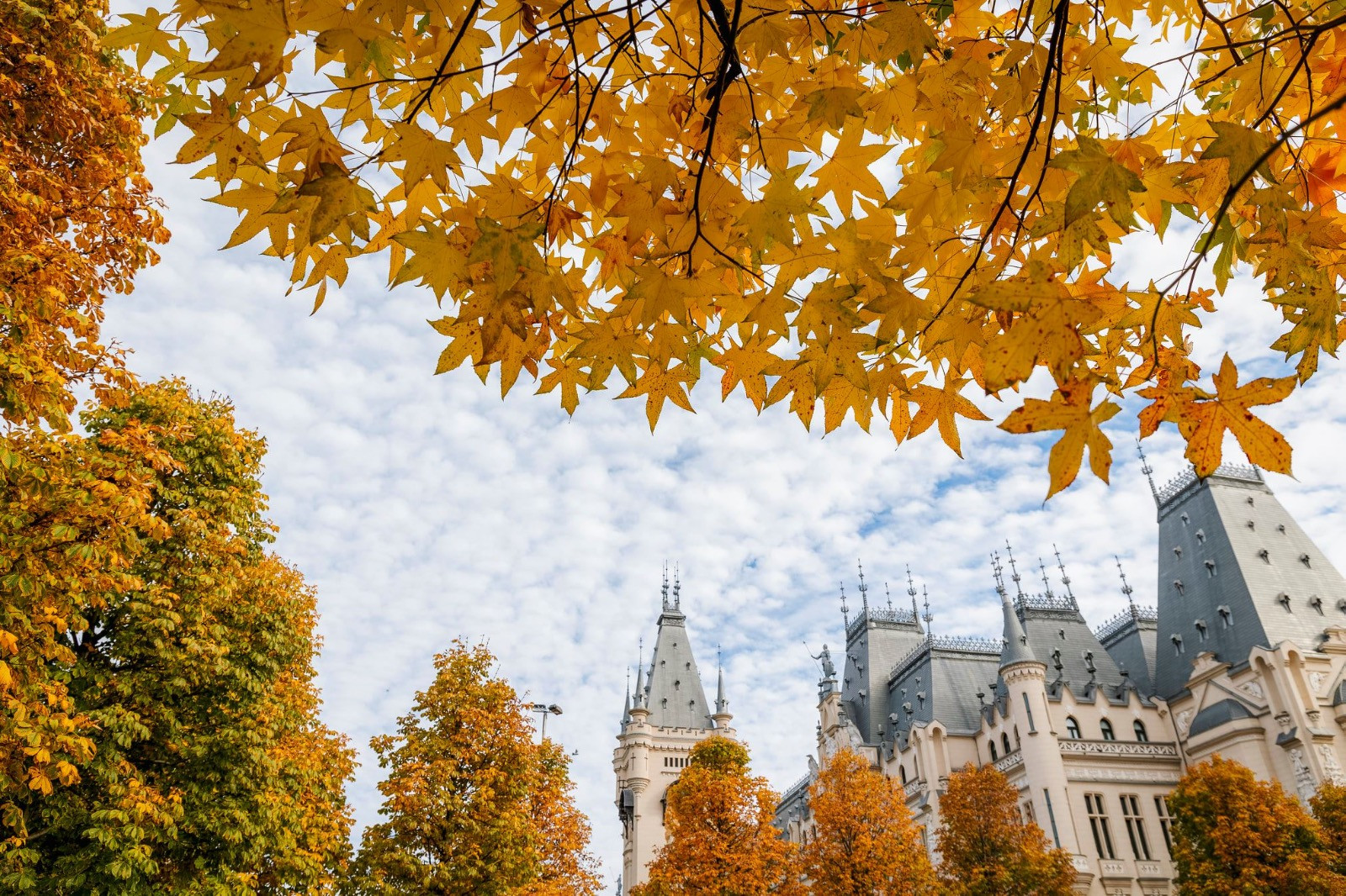 dcestinatia anului 2025