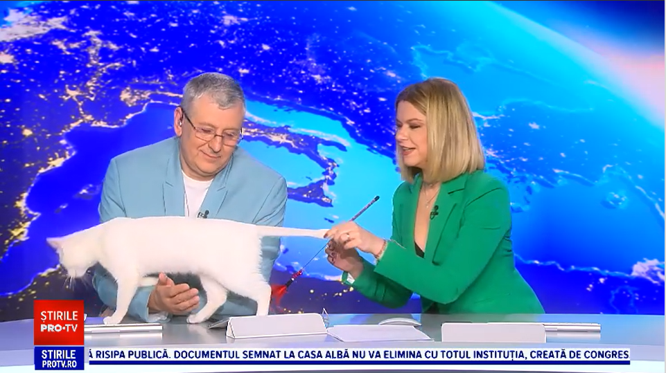 Litiere inteligente și roboți care le țin de urât animalelor de companie. ”Era timpul să aducem tehnologia și în zona asta”