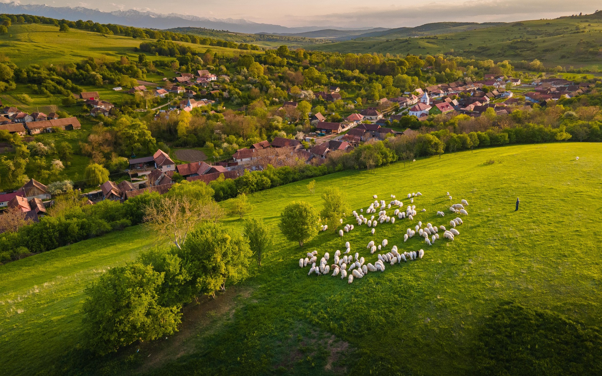 Țara Făgărașului, din inima Carpaților în finala competiției Destinația Anului 2025. Ce să vizitezi ca turist aici