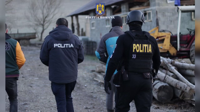 Pădurar reținut pentru complicitate la defrișări ilegale. 500 de arbori au fost tăiați din pădurile din Bistrița-Năsăud