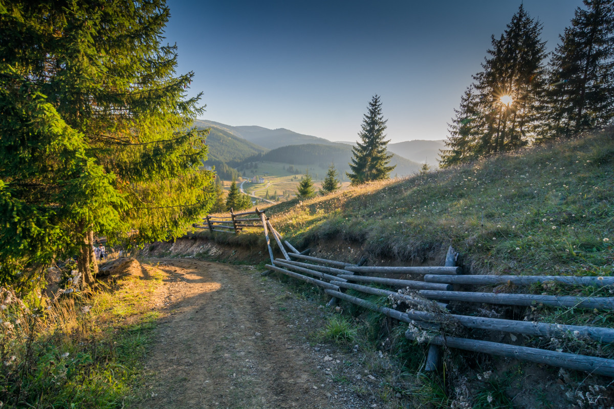 Țara Dornelor, tărâmul fermecat al Bucovinei, finalistă Destinația Anului 2025. Descoperă peisajele spectaculoase ale zonei