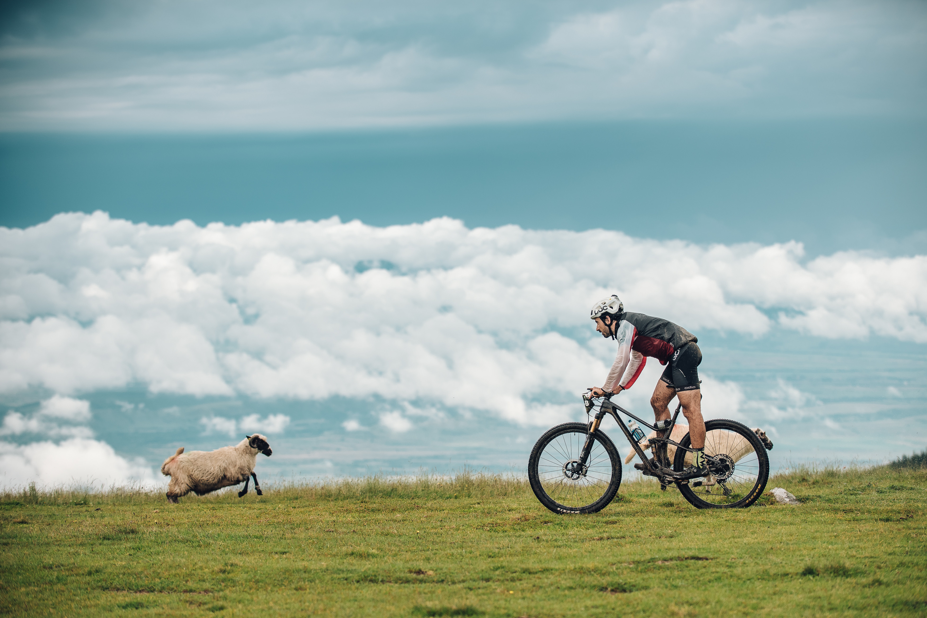 Moștenirea istorică din Țara Hațegului, în finala Destinația Anului 2025. O călătorie prin istorie, natură și tradiții