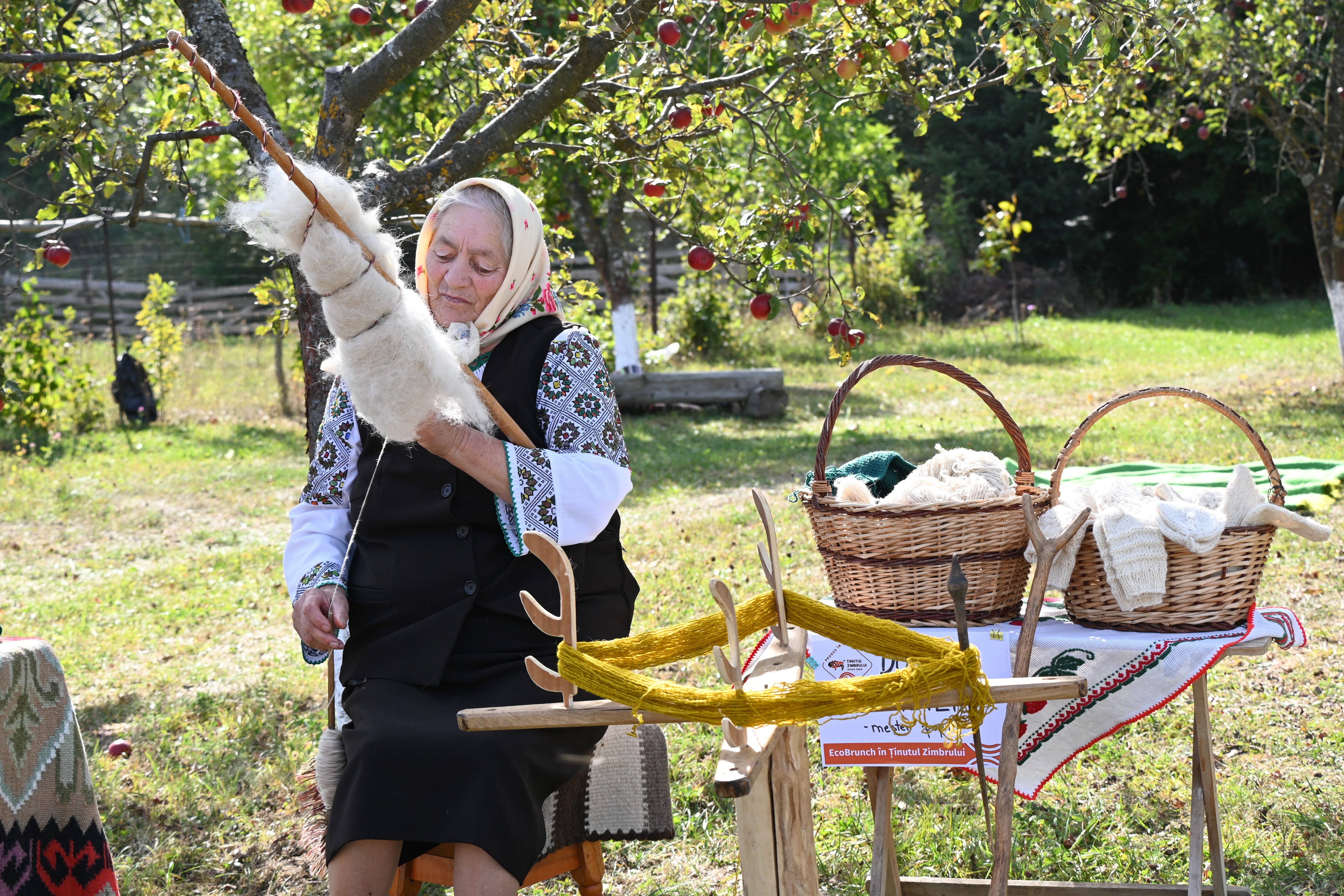 Sălbăticie, legendă și echilibru în inima județului Neamț. Ținutul Zimbrilor, finalist la Destinația Anului 2025