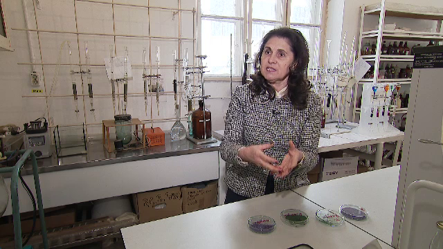 Cercetătorii trag un semnal de alarmă. Microplasticele pot face bacteriile și mai rezistente la antibiotice