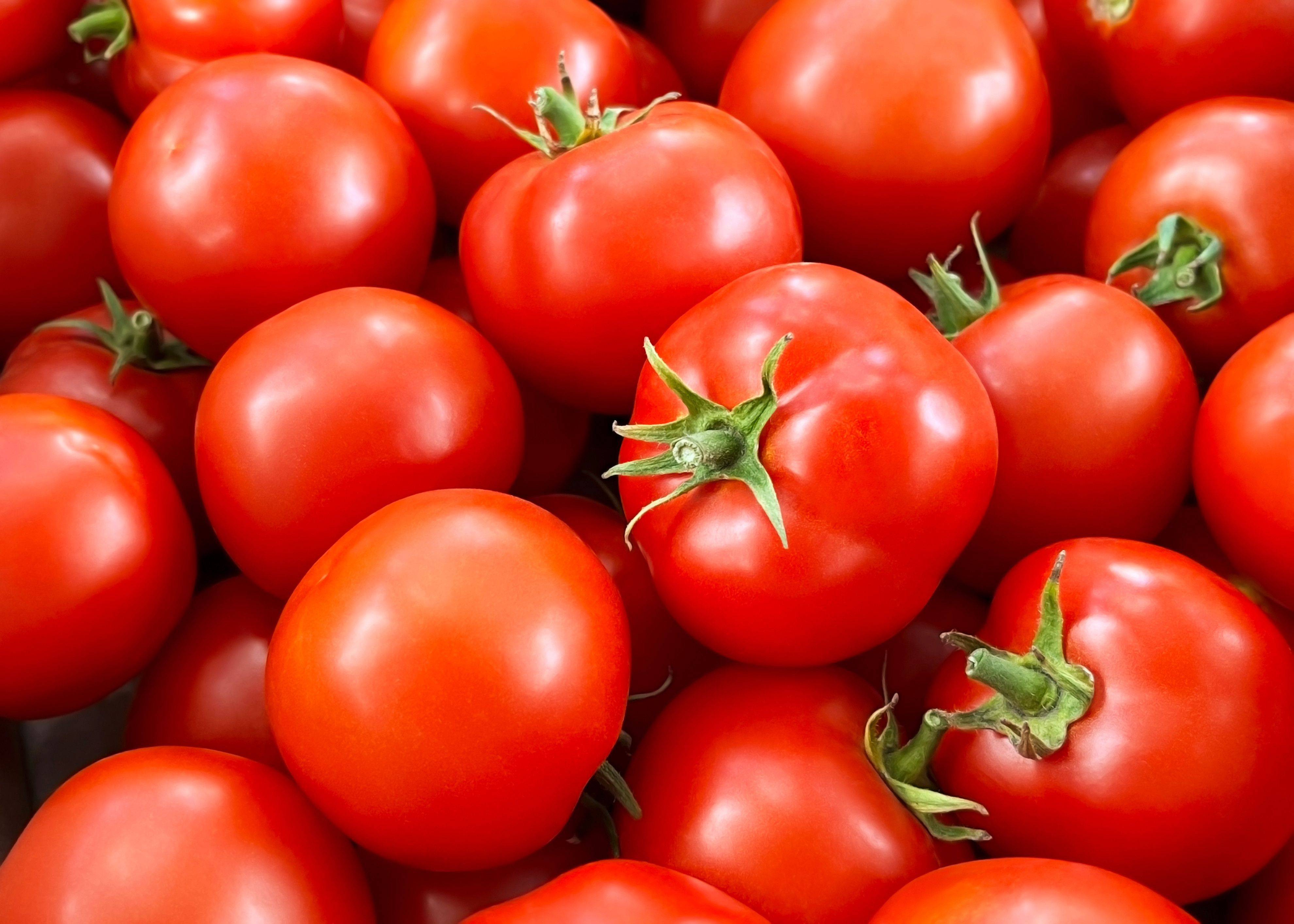 Cinci persoane au primit condamnare cu suspendare, după ce ar fi stropit roșiile cu substanțe chimice nocive