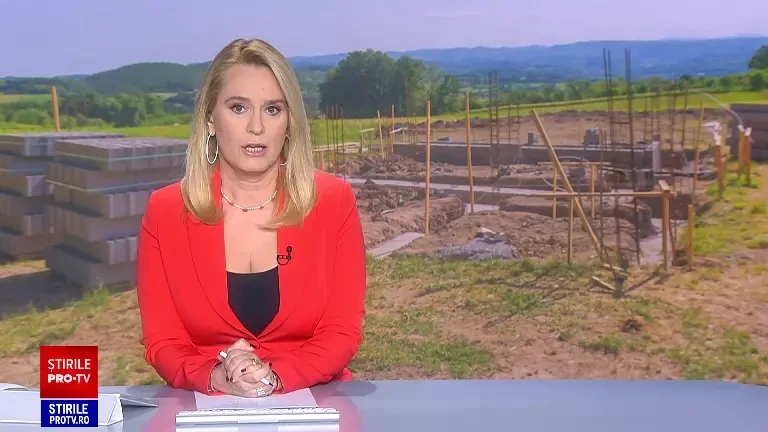 Inșelătorie de peste 17 milioane de dolari. Doi administratori din Timiș promiteau parcuri fotovoltaice în toată țara