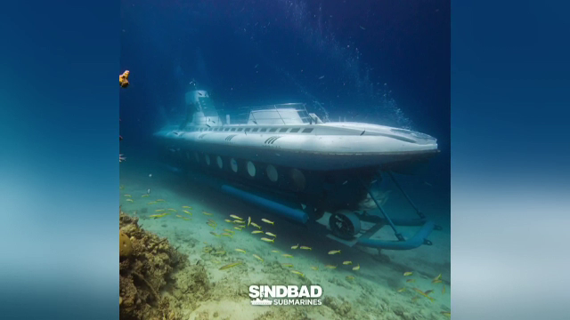 Șase turiști au murit după scufundarea unui submarin în largul stațiunii egiptene Hurghada
