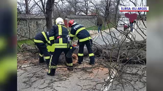 Cod roșu de uragan. Vântul s-a dezlănțuit în România și cu rafale de 140 km/h. Oameni răniți și copaci prăbușiți peste mașini