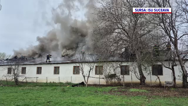 Fabrică de mobilă din Suceava, cuprinsă de flăcări. De la ce a pornit incendiul