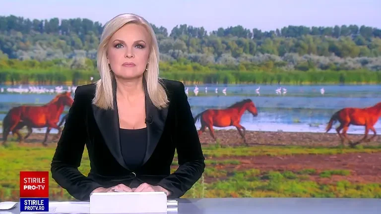 Caii de la Letea sunt tot mai puțini, din cauza unei legi: ”Ei nu înțeleg că au devenit un simbol”