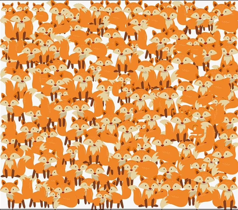 Poți să găsești pisica din imagine? Acest puzzle &icirc;ți pune vederea și răbdarea la &icirc;ncercare