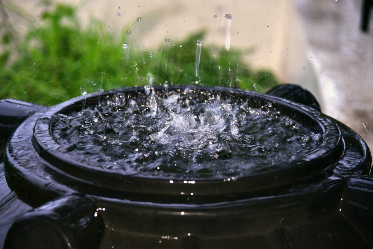 (P) Importanța reciclării apei în contextul schimbărilor climatice