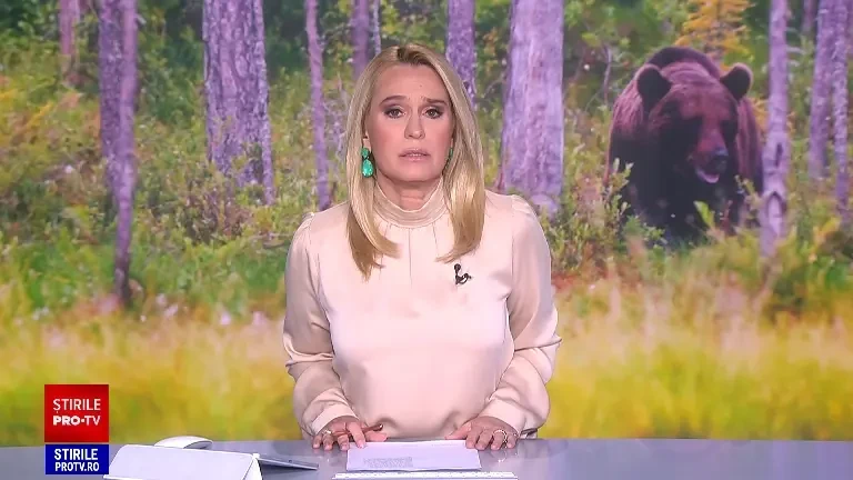 Situație alarmantă în Mureș. Lipsa apei din păduri aduce urșii în curțile oamenilor și la grădina zoologică