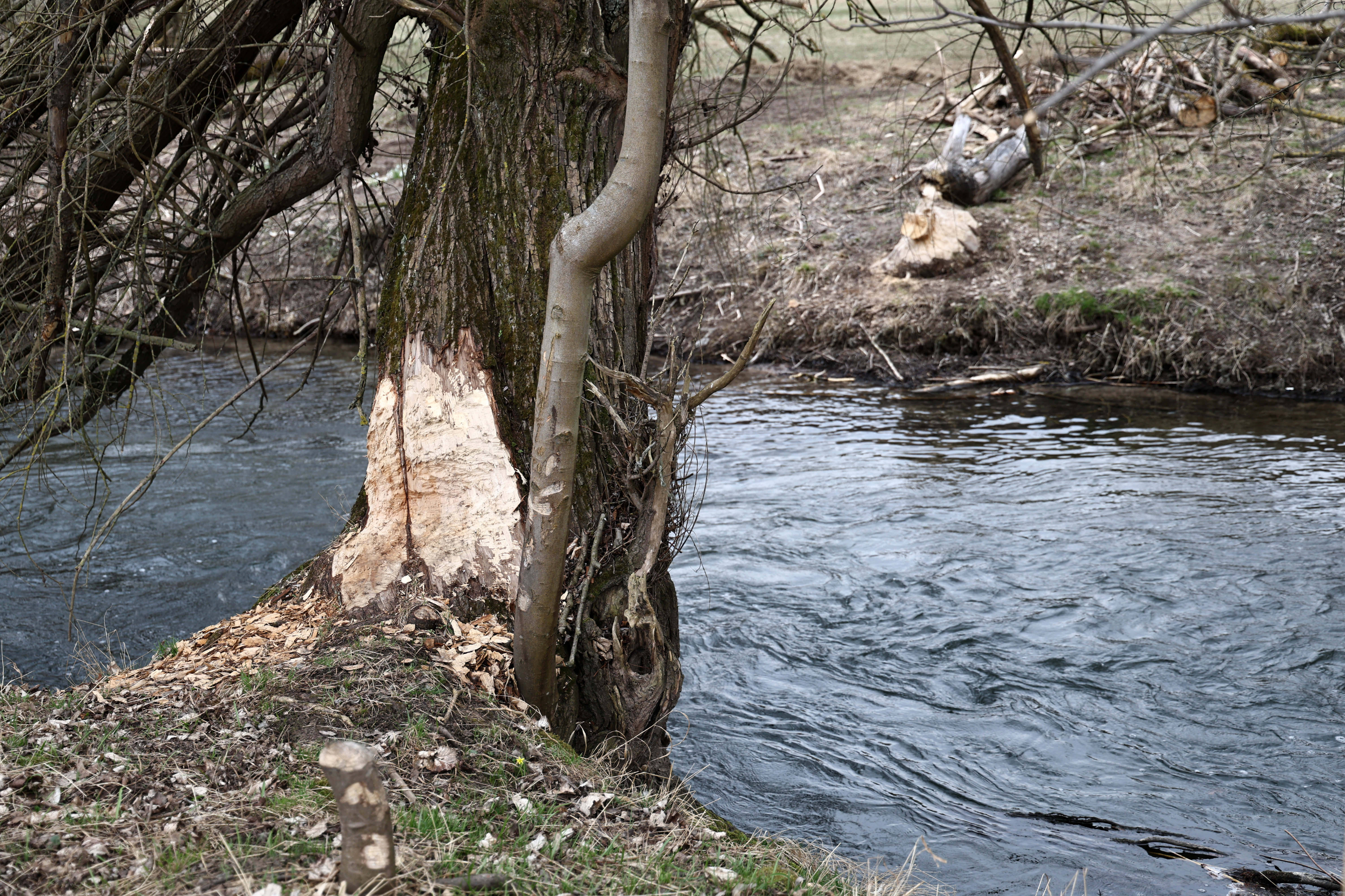 Apa se tranzacționează pe cea mai mare bursă din lume. Previziuni sumbre pentru viitor