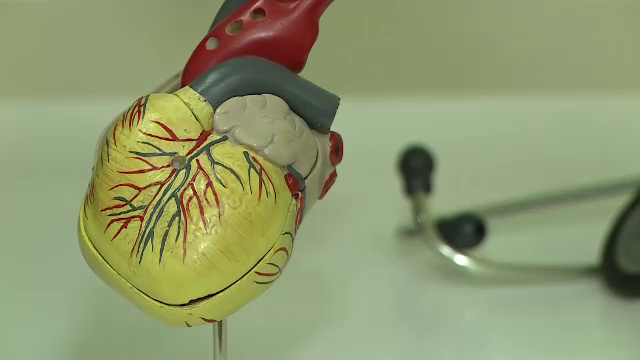 Mișcarea crește tensiunea arterială, dar, paradoxal, o scade pe termen lung. Care este explicația