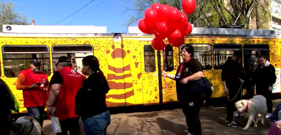 Campanie inedită la Iași. Donații pentru animalele abandonate, colectate într-un tramvai special