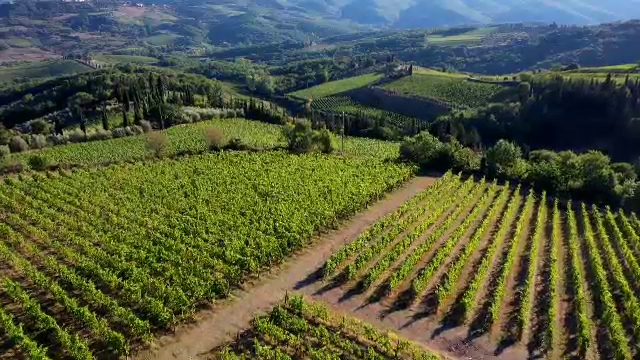 Domeniul în care România a ajuns a șasea din Uniunea Europeană, cu producție mare, dar export mic. Stocuri la nivel record