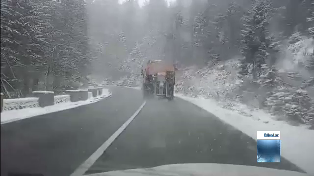 Iarnă târzie în toată țara. Viscolul a doborât zeci de arbori, care au blocat drumuri naționale şi au rupt linii de curent