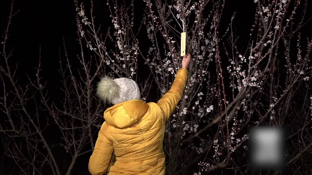 Românii au fost luați prin surprindere de valul de aer polar. „Pare că vine Crăciunul, nu Paștele”