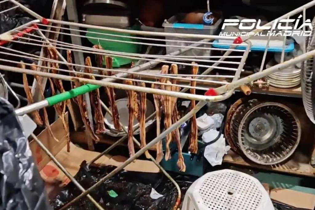 Celebra „rață chinezească prăjită” preparată din porumbei morți la un restaurant. Autoritățile din Madrid l-au închis