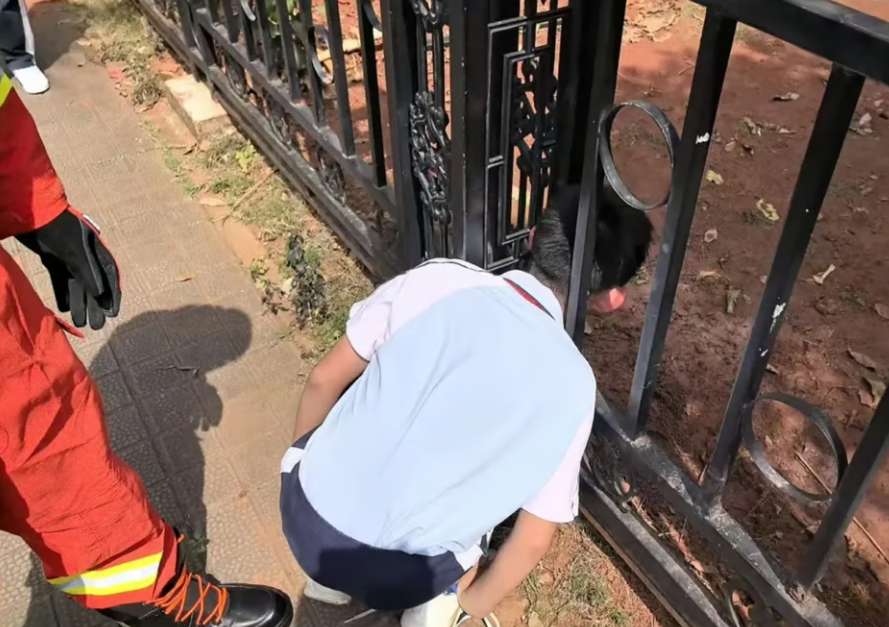 Un băiat și-a blocat capul &icirc;ntr-un gard