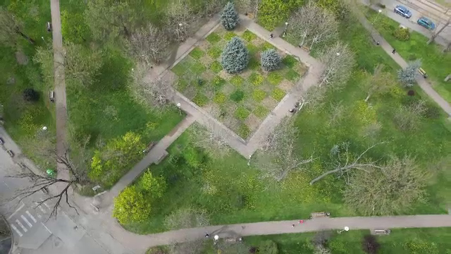 Reacția unui român care s-a întors din Canada și a văzut cum arată acum Timișoara: „Sunt absolut șocat”